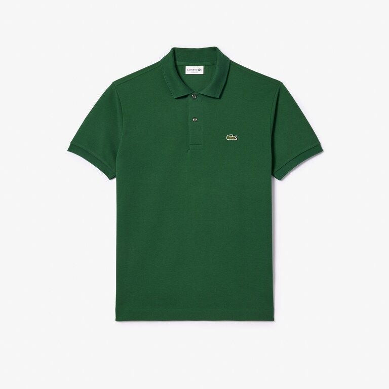 T-Shirt mit Krokodil